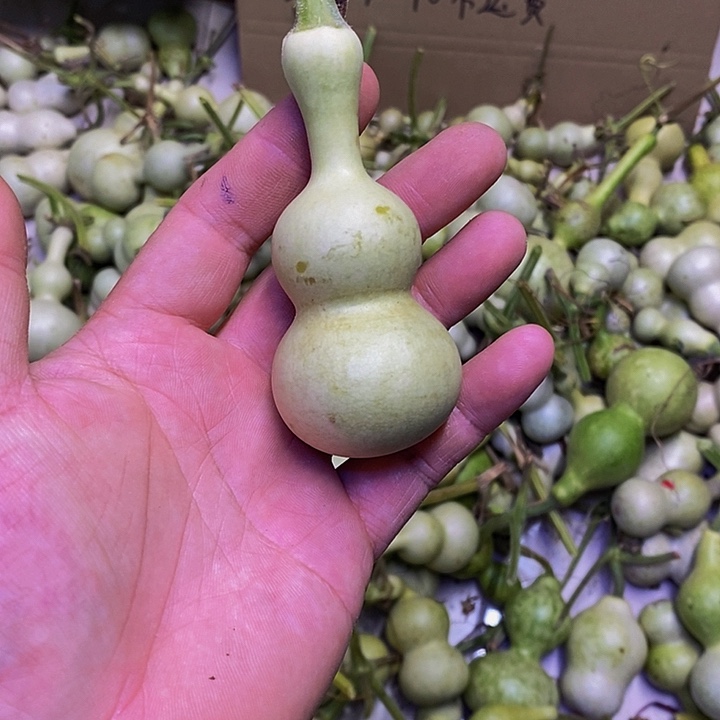 骑****3长嘴哈哈哈哈哈哈哈哈哈哈哈哈哈哈好