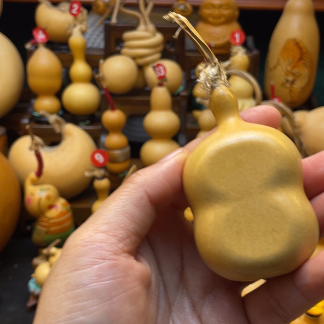 韩*续葫芦头的做法是用来做菜吃