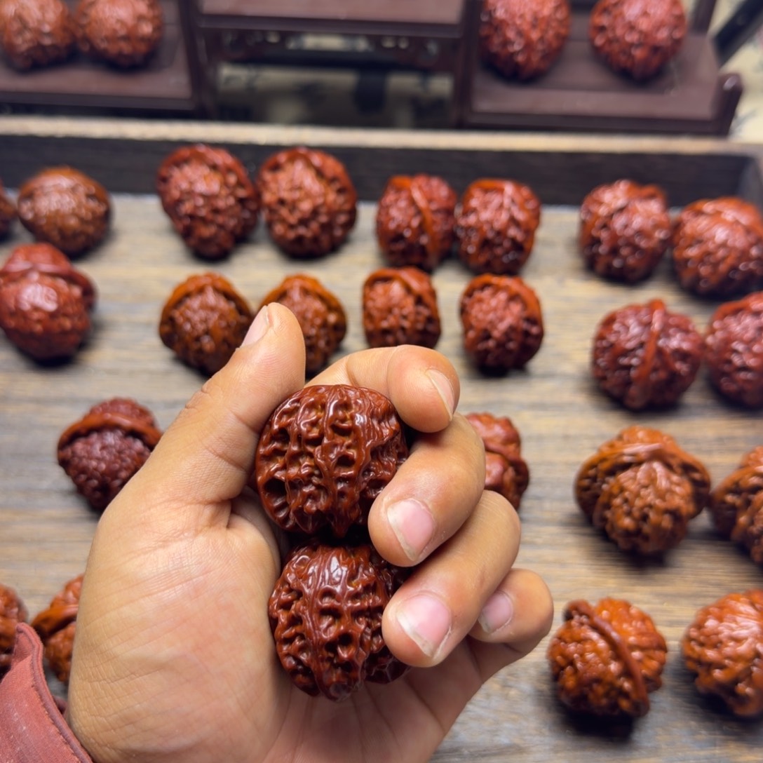 周***沫退款健健康康快快乐乐