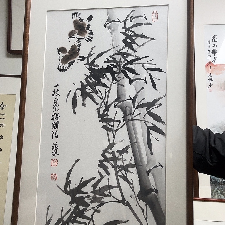 绘画画画竹节画4792