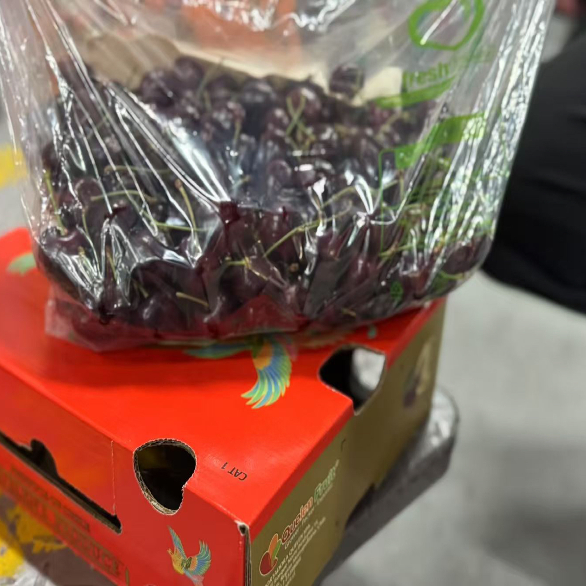 3J海运桑提娜车厘子5斤装 很新鲜! 脆甜 桑提娜智利