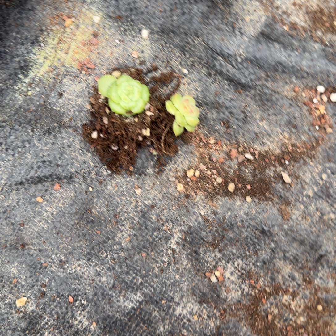 十***。2772 两个满20包邮