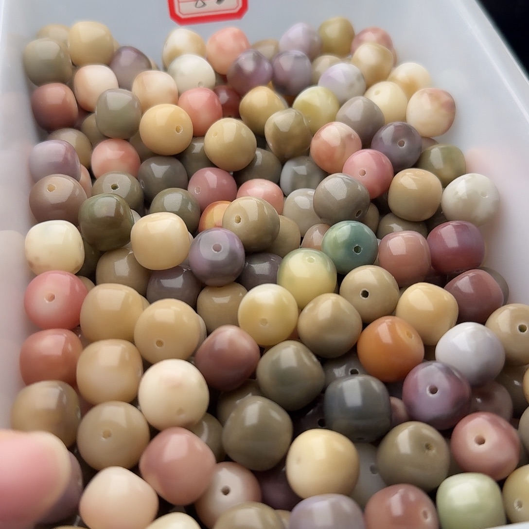 菩提根/象牙果吊坠20 颗霓虹灯 14 干磨桶