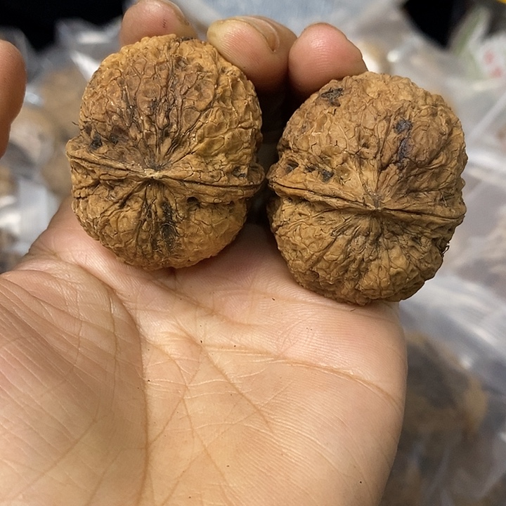 核桃云南铁核桃基地45