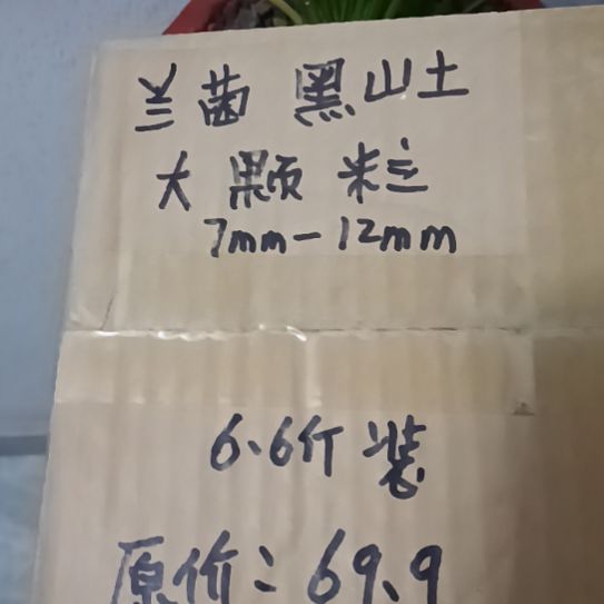 乌***哥兰菌黑山土大颗粒6.6斤