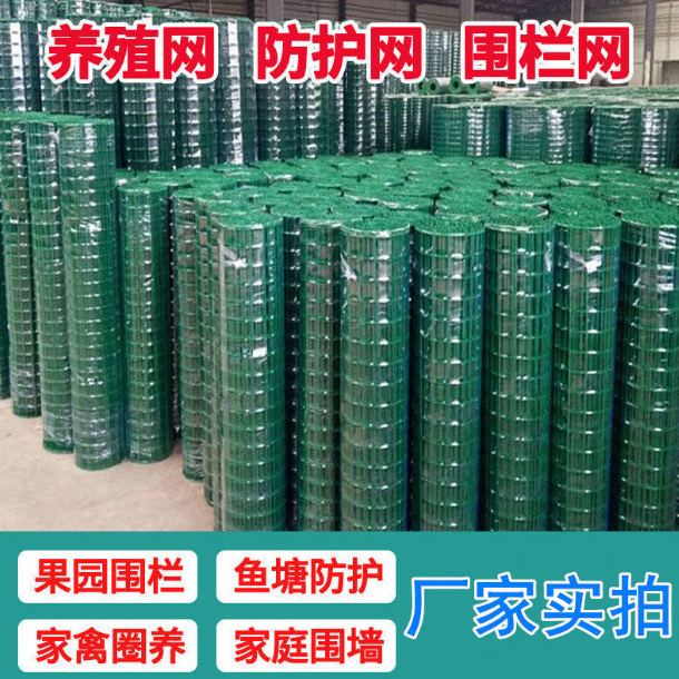 直播小孔铁丝网硬塑荷兰网围栏养殖网养鸡网钢丝防鼠网家用防护网