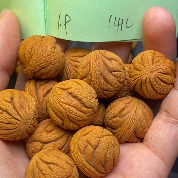 吊坠桃核秦岭龙纹桃核19