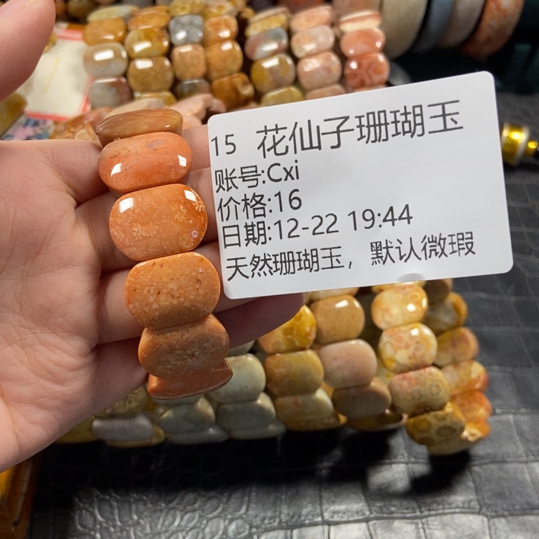 C***i硅化珊瑚（珊瑚玉）未镶嵌珠宝半成品15
