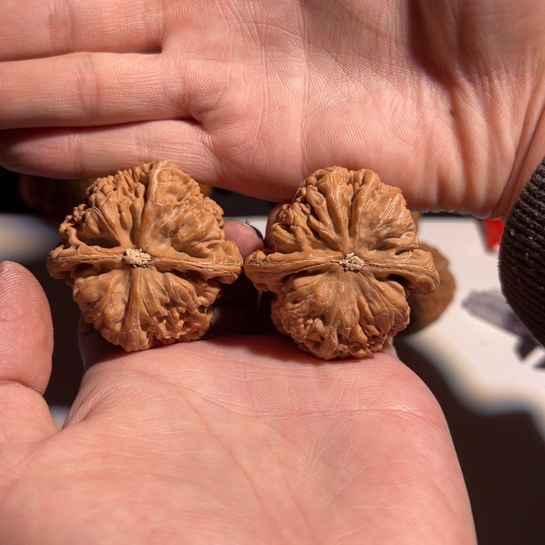 单***隆手串/手链核桃45粗筋