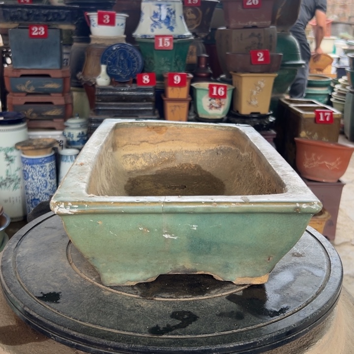 海*我们的生活也就这样