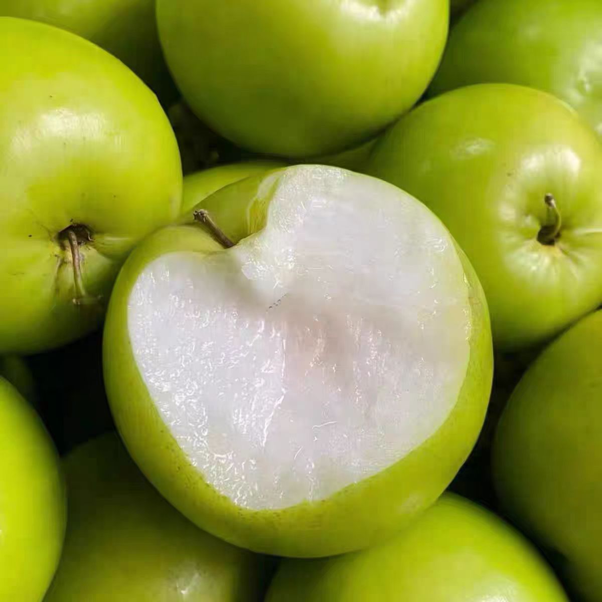 1云南苹果枣西双版纳正宗新鲜苹果枣当季新鲜孕妇水果顺丰包邮