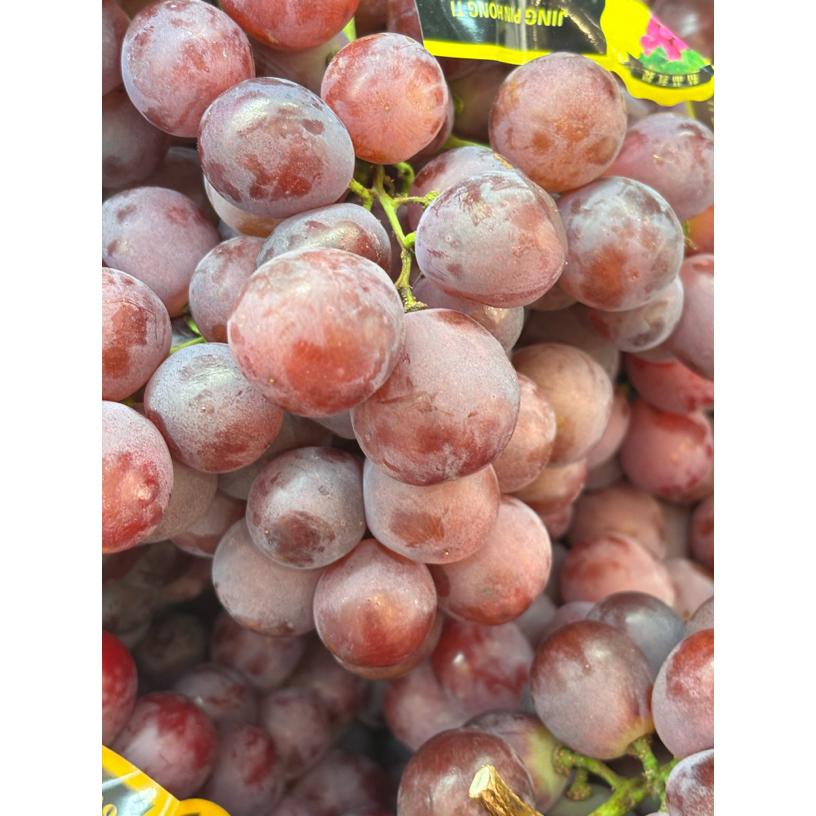 新鲜水果红提葡萄 500g云南省