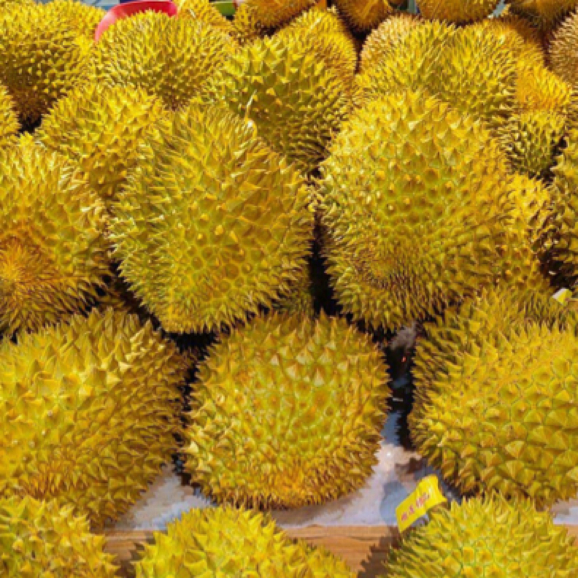 泰国新鲜树熟核小榴莲一个（一果一重）榴莲同城配金枕布基纳法索几内亚