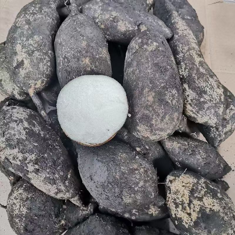 云南德宏羊丝瓜根 佛手瓜根 新鲜 香甜可口