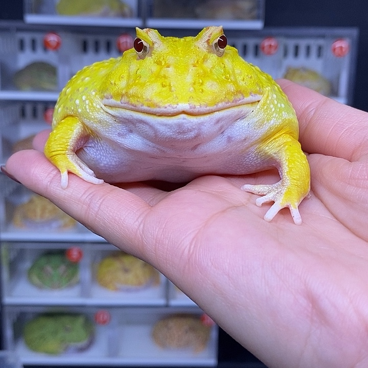 特价秒杀活动地址