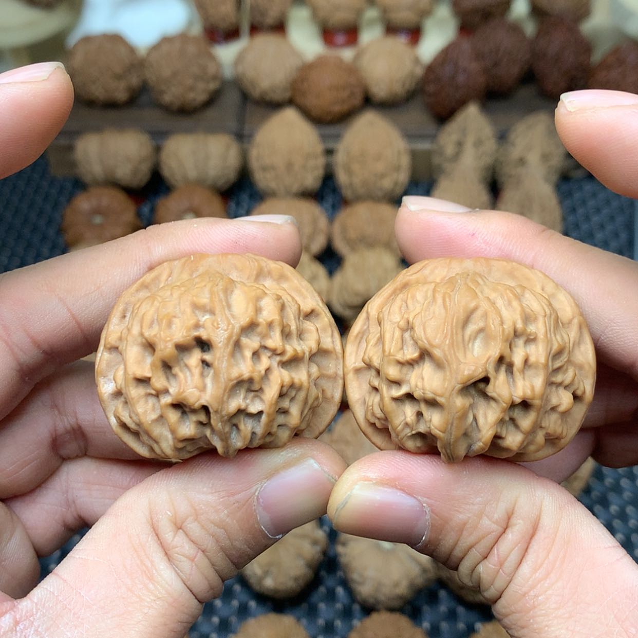 【闪购商品】文玩核桃把件全品天地狮子头41.7文玩核桃