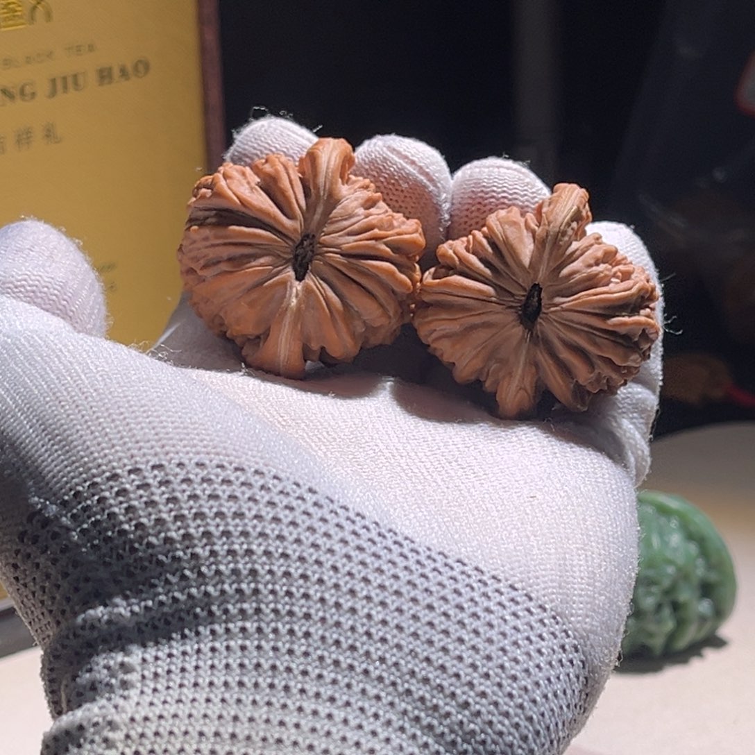 怪***獸楼子楼子楼子楼子 