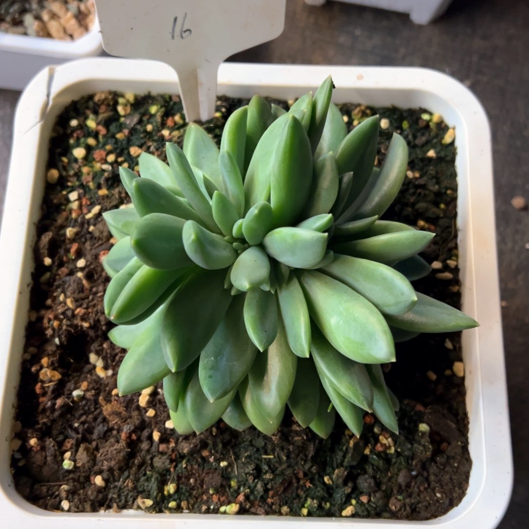 闫*16）vb b b n j j n n