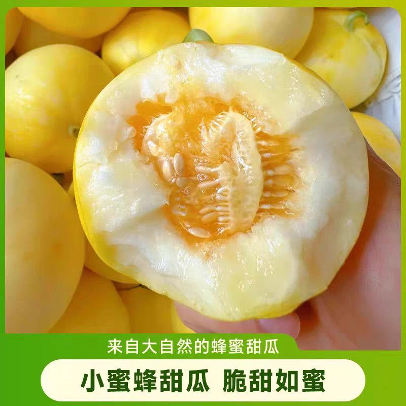 【专属京东顺丰发货】山东头茬小蜜蜂星甜20甜瓜新鲜香甜水果