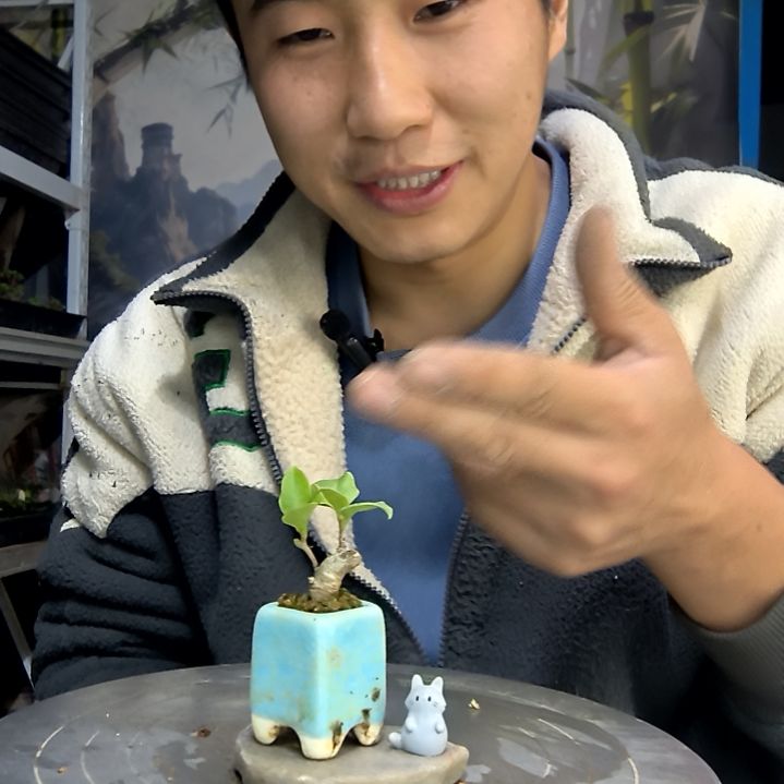 A****?中青园艺一物一拍花33