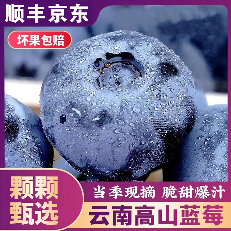 S1【顺丰京东】云南脆甜蓝莓大果新鲜水果应季水果脆甜(100g/盒)商品图