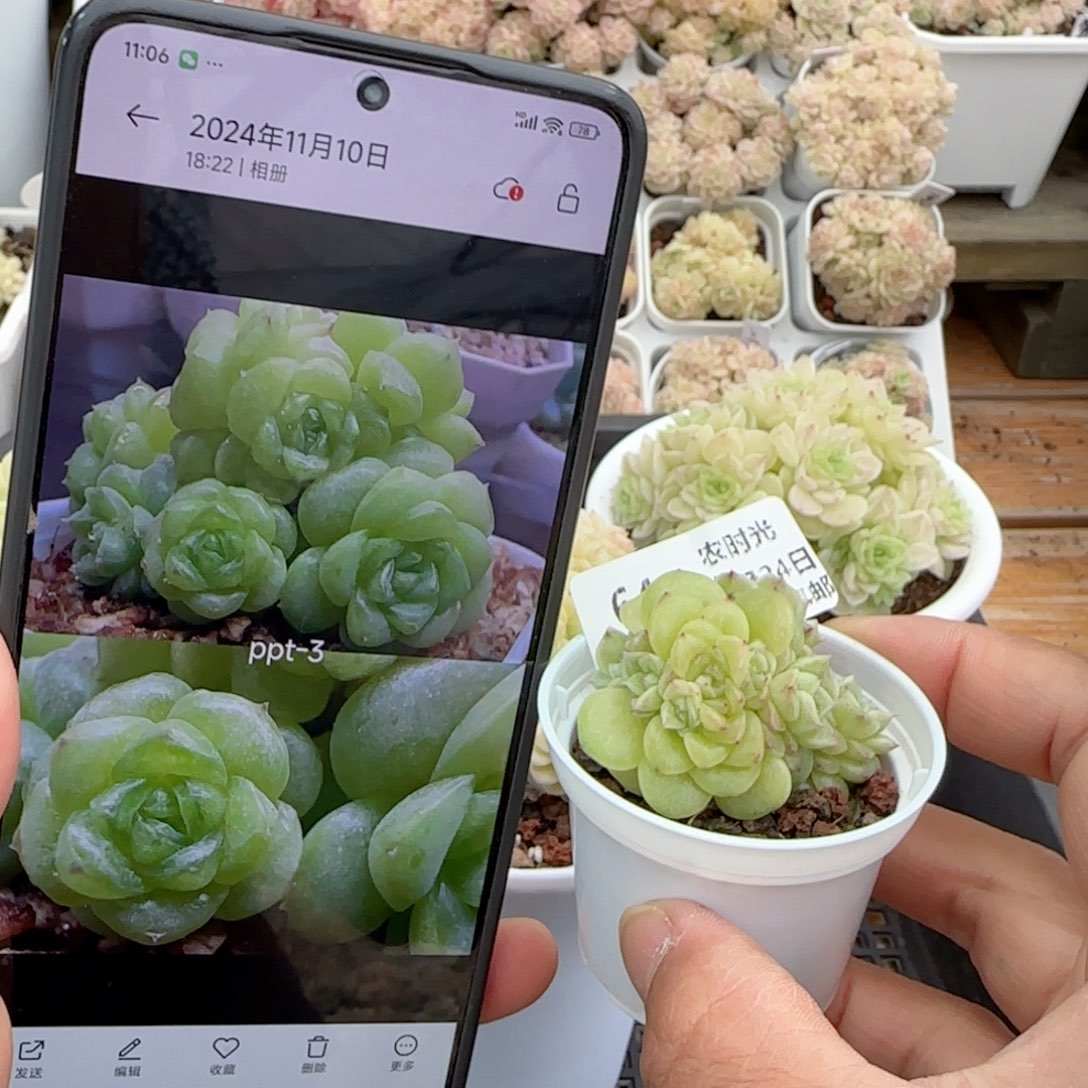 原****啊【闪购商品】0224-68（ppt-3）