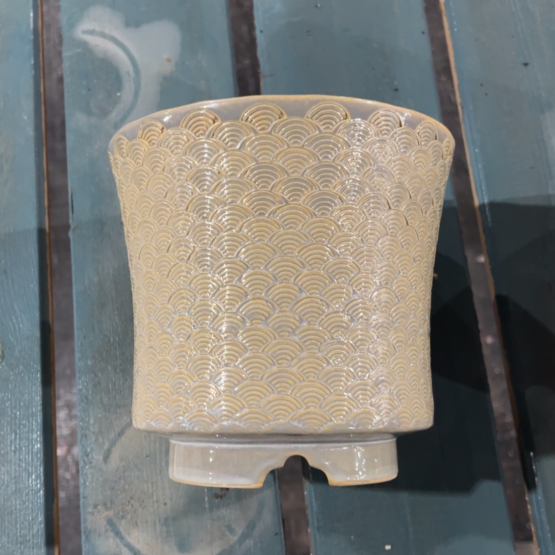 大盆1225-004韩姐专拍