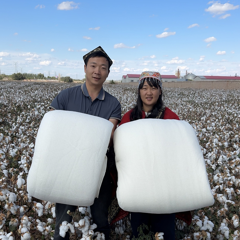 【素英姐专属】新疆棉花被子垫被冬季保暖加厚特价包邮&鱼