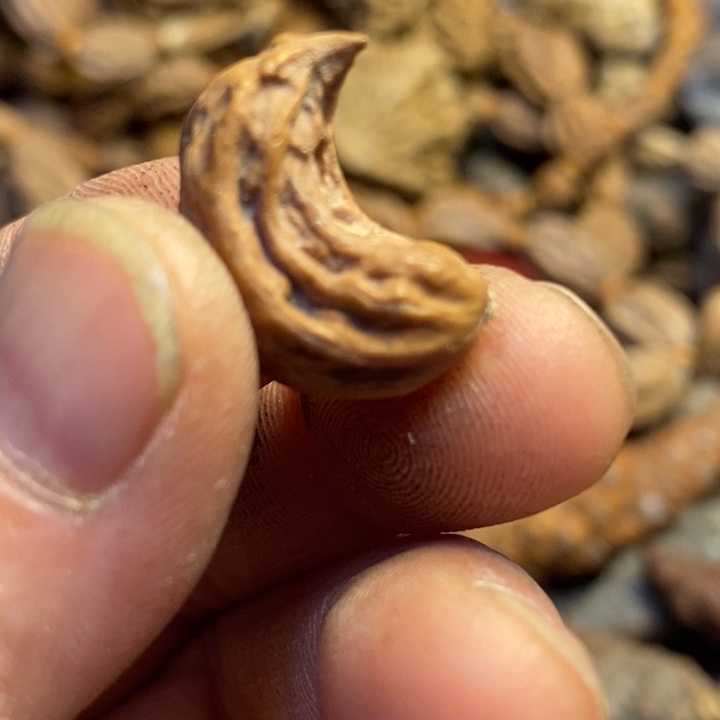 吊坠文玩核桃东北特产83