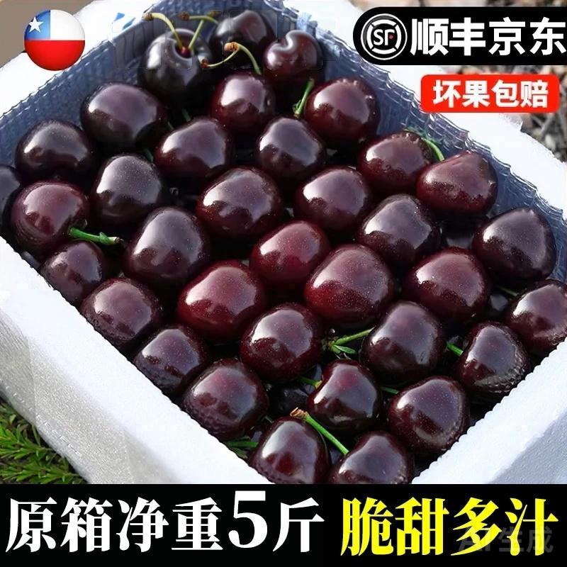 XX拉宾斯智利进口车厘子4J 海运顺丰京东包邮5斤 内附果径卡