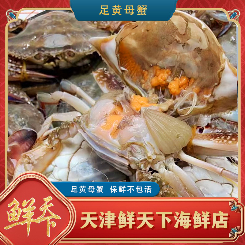 【保鲜不保活】足黄中母蟹一斤3-5只左右单只2-3两掉爪顺丰明天到