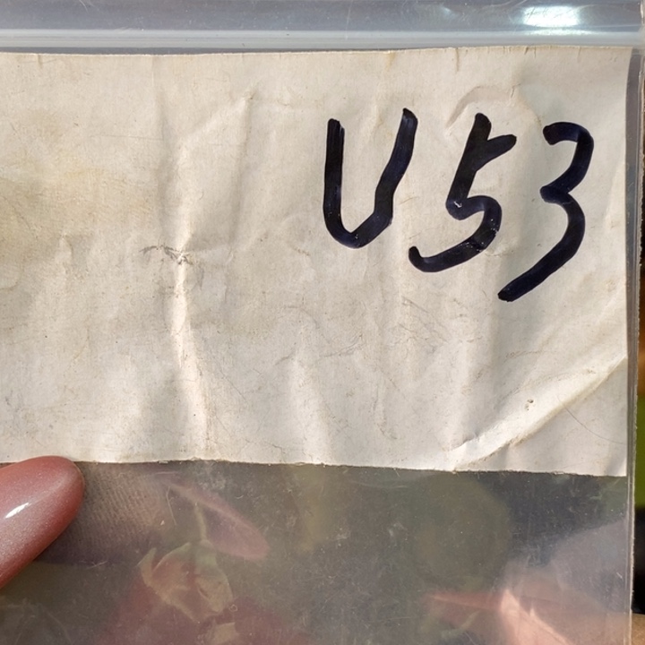 南***逸民间杂项文玩直播间专属链接 