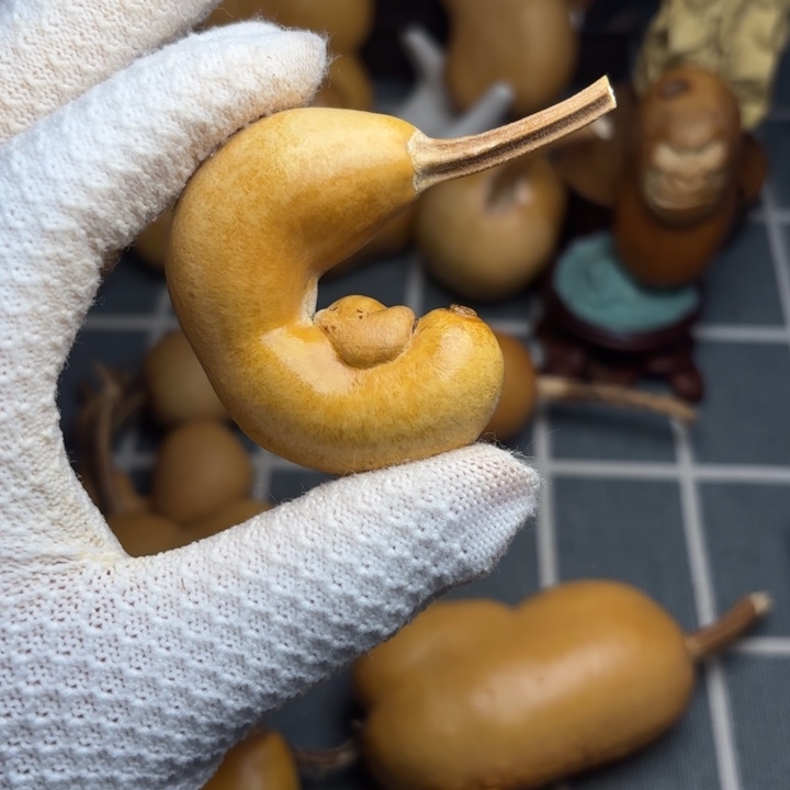 赵***天印6666666666666666