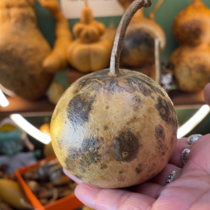 花皮苹果厚皮看好下