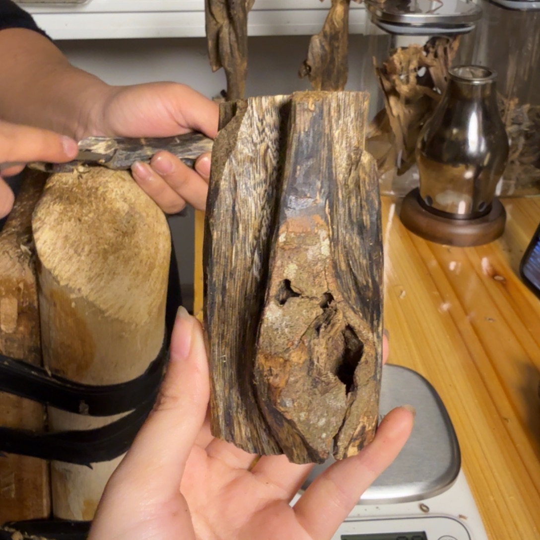 沉香绿奇虫漏香73克