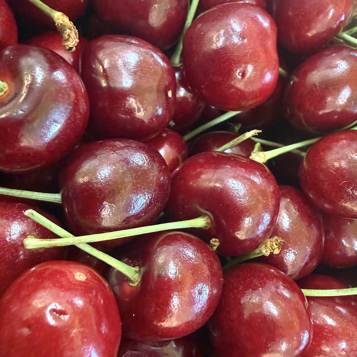 智利海运进口 三斤 五斤车厘子J级智利