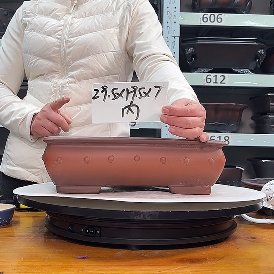 花盆紫砂宜兴紫砂4号