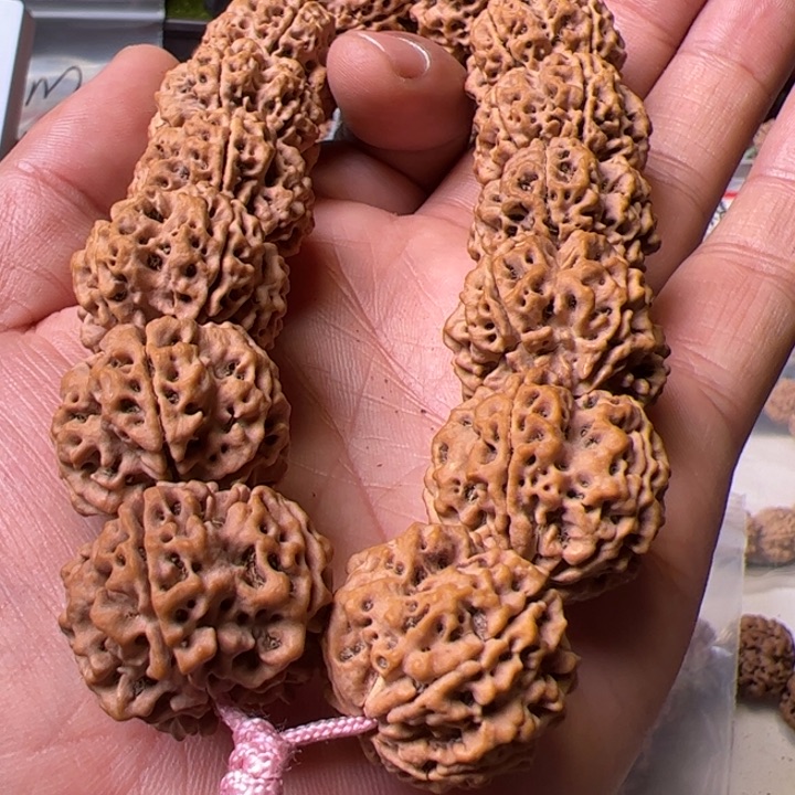 金刚菩提手串24➕24➕古龙大梅花