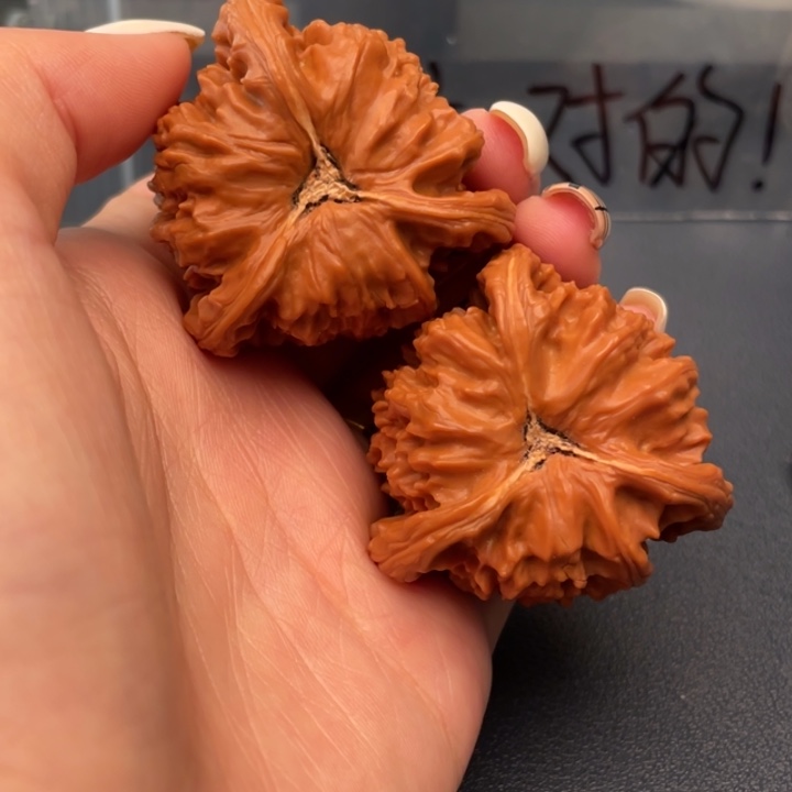 明***好文玩核桃吊坠白狮子