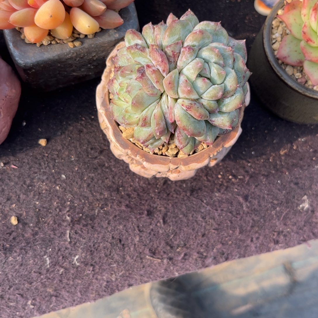 曲***曲11111111111111111111