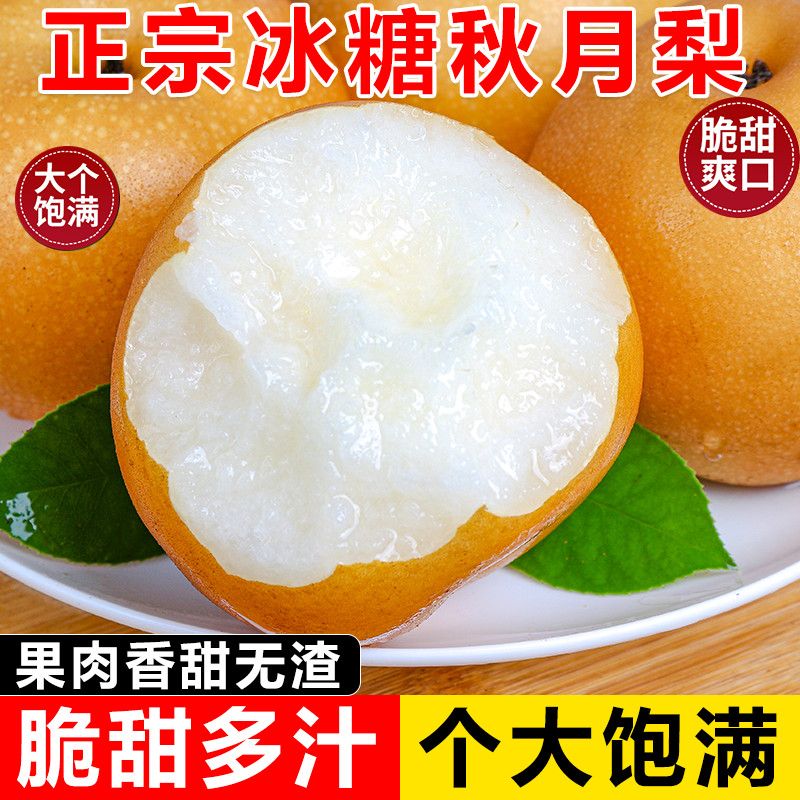 正宗秋月梨现摘冰糖山东梨子当季新鲜水果薄皮多汁批发包邮整箱