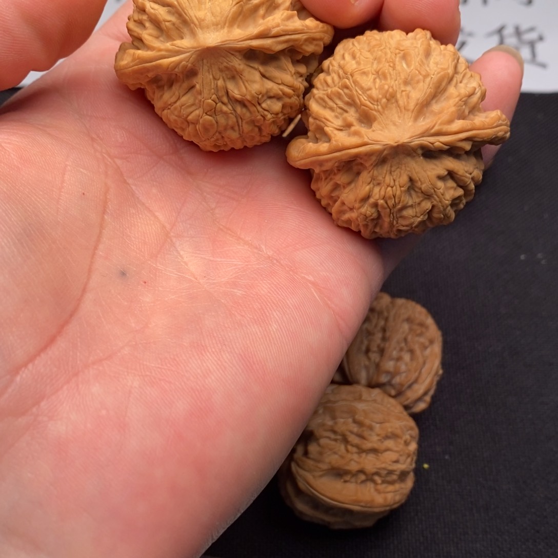 43➕全品矮桩金牛狮子头