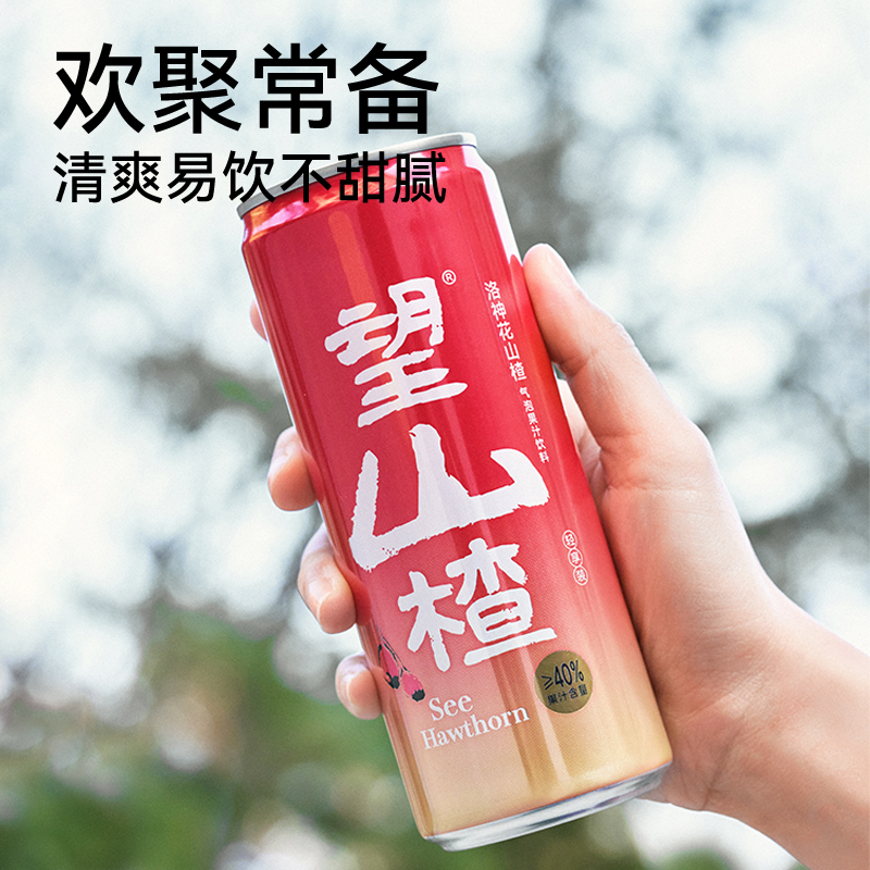 好望水望山楂气泡果汁饮料铝罐夏季饮品植物拼配330ml*6罐/箱dr