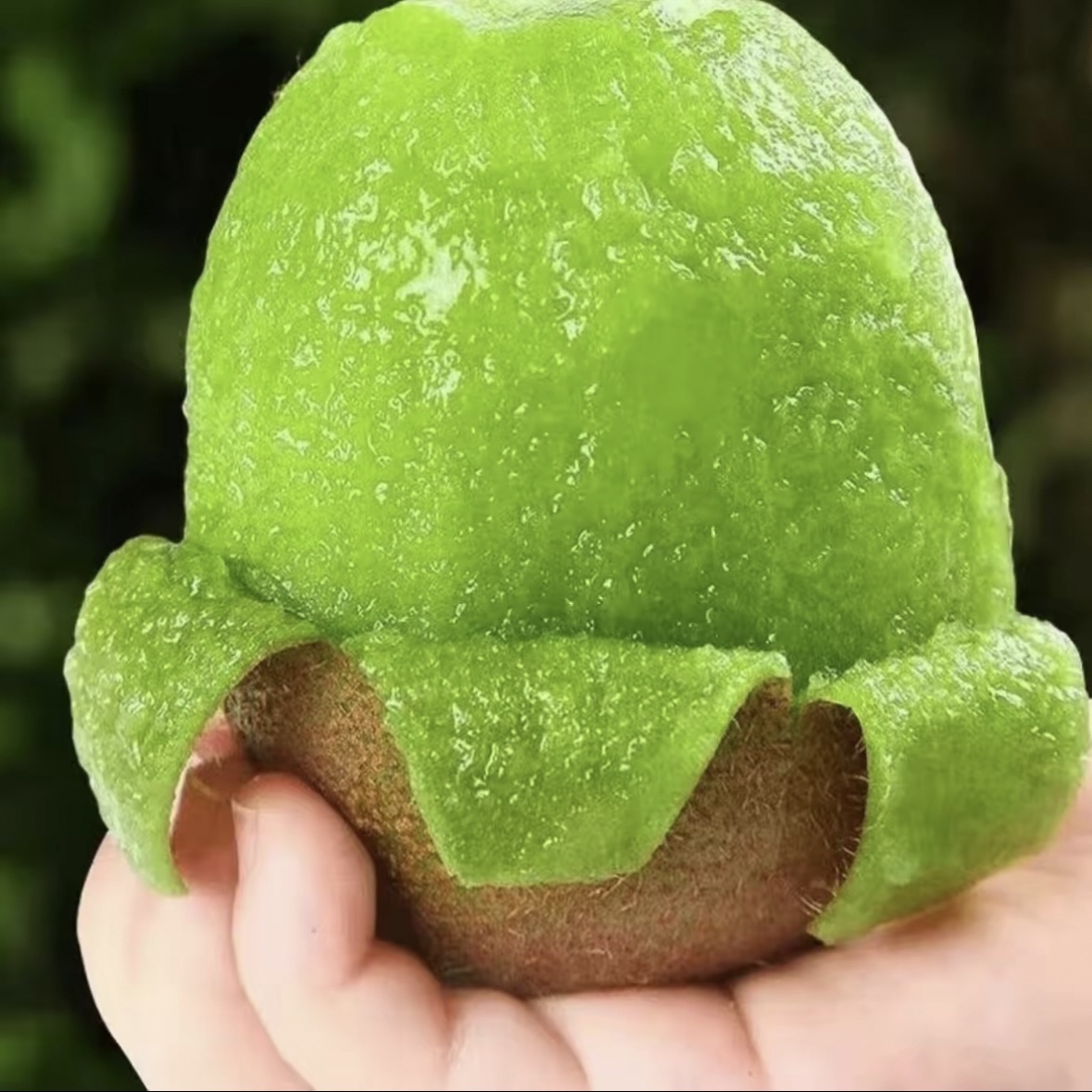 【正宗陕西猕猴桃】绿心米良当季新鲜水果非奇异果非徐香非翠香