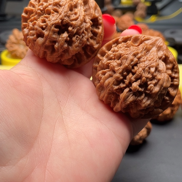 全品无修官帽50/43/43