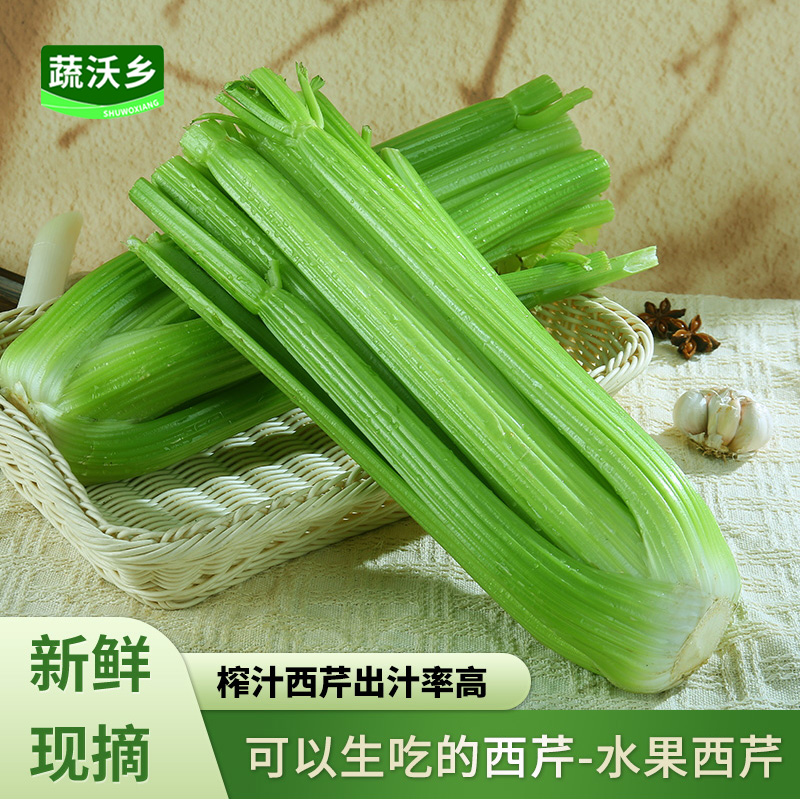 【产地直发】山东水果西芹榨汁西芹芹菜寿光西芹新鲜蔬菜大颗去叶