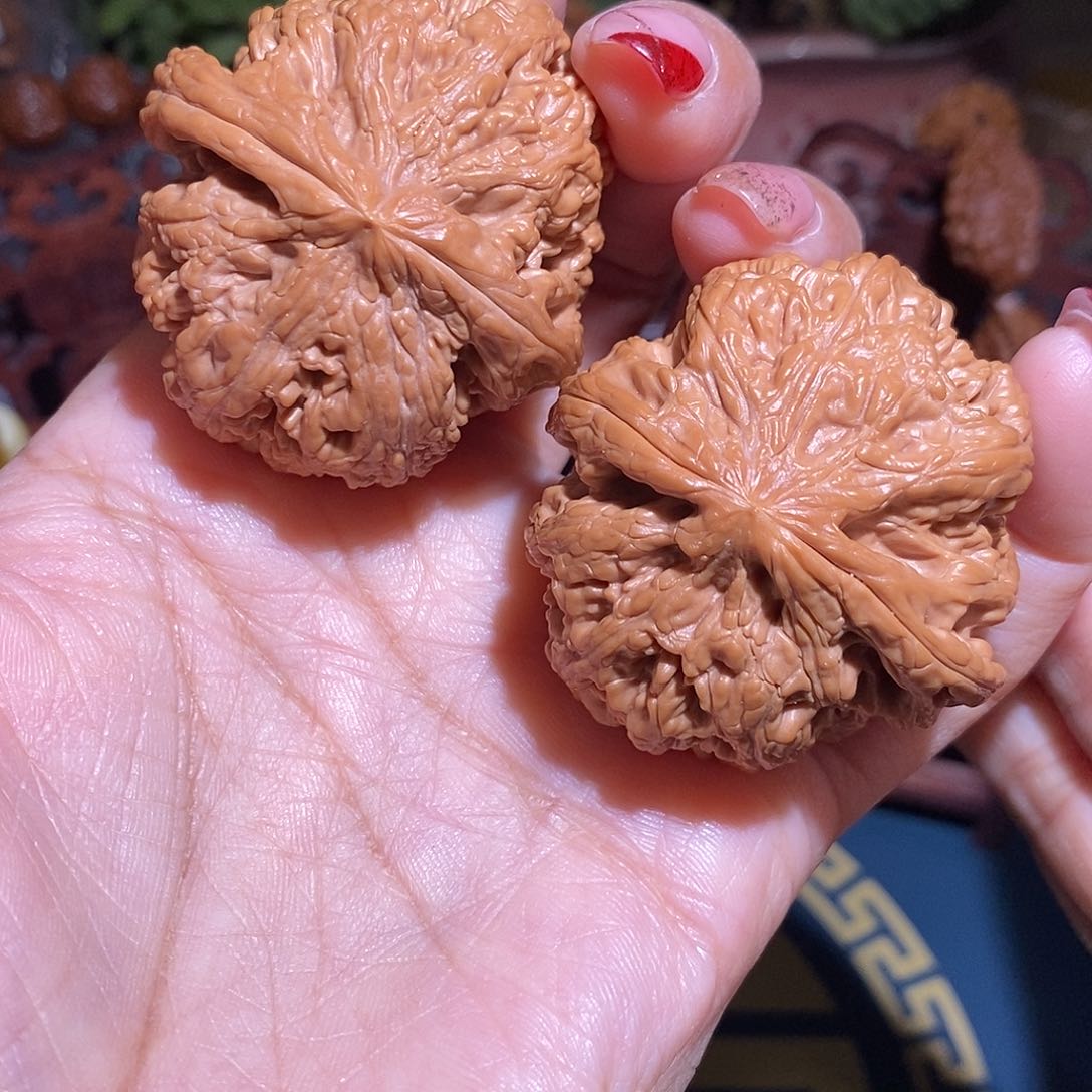 文玩核桃把件43粗筋