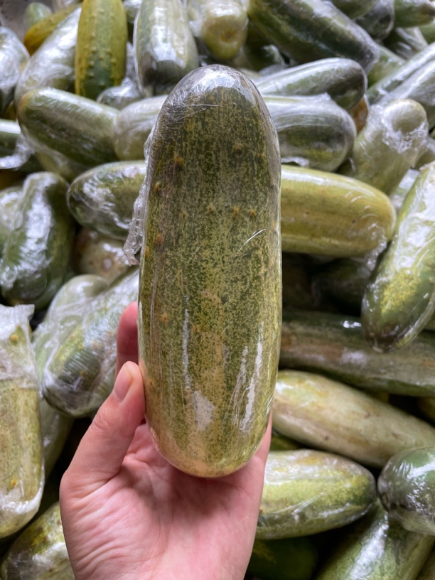 微黄云南本地老品种黄瓜新鲜采摘可生吃夏季水果