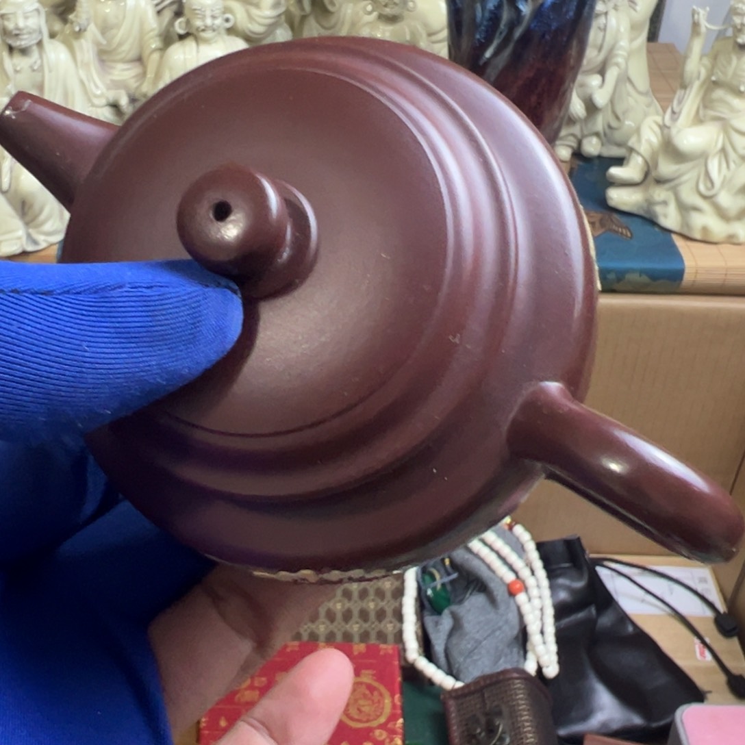 茶宠哈哈哈哈哈哈哈哈哈哈哈哈哈哈