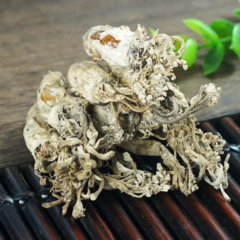 野生金蝉花蝉草蝉花农户自挖